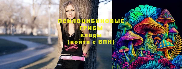 метадон Армянск