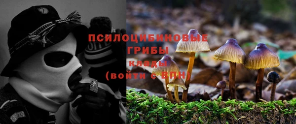 метадон Армянск